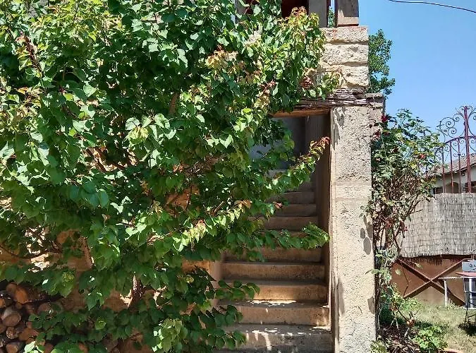 Chez Mimi